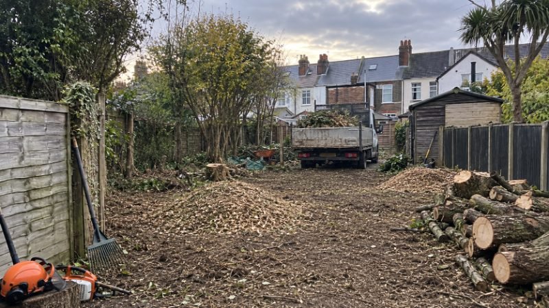 tree surgeon project in Portsmouth
