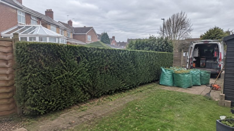 Hedge Trimming in Portsmouth