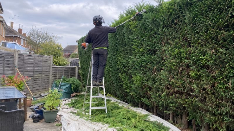 Hedge Trimming services in Portsmouth, Portsmouth