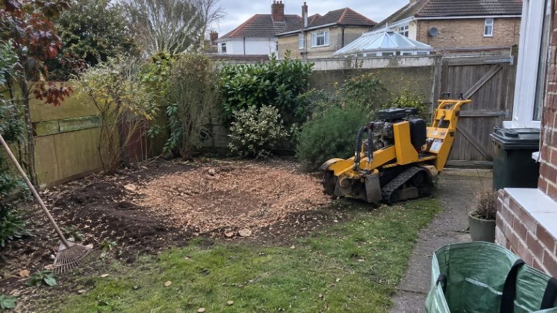 Stump Grinding in Portsmouth