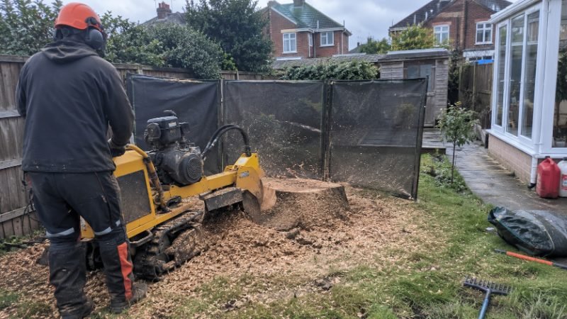 Stump Grinding services in Portsmouth, Portsmouth