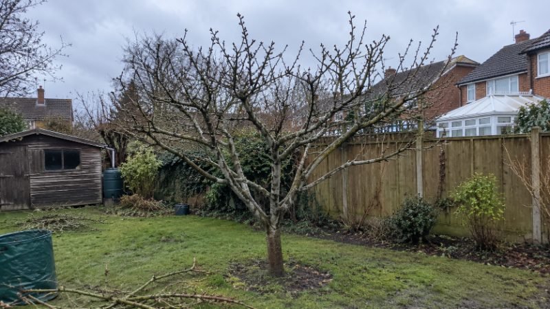 Tree Pruning in Portsmouth