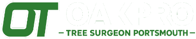 OakPro Tree Surgeon Portsmouth